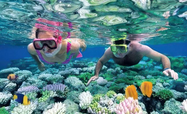 Bwejuu Beach, Relaxation & Reef Safari