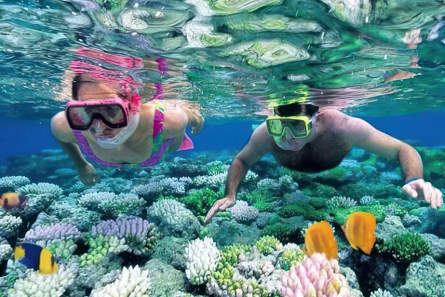 Bwejuu Beach, Relaxation & Reef Safari