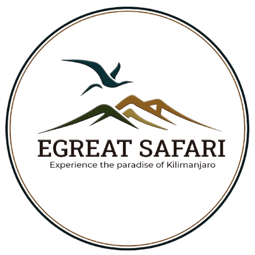 Great Tanzania Travel  Safari