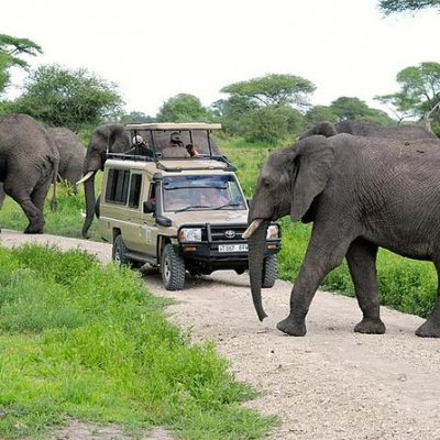 Northern Circuit Safaris