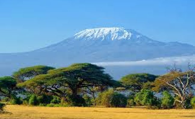 Mountain Kilimanjaro