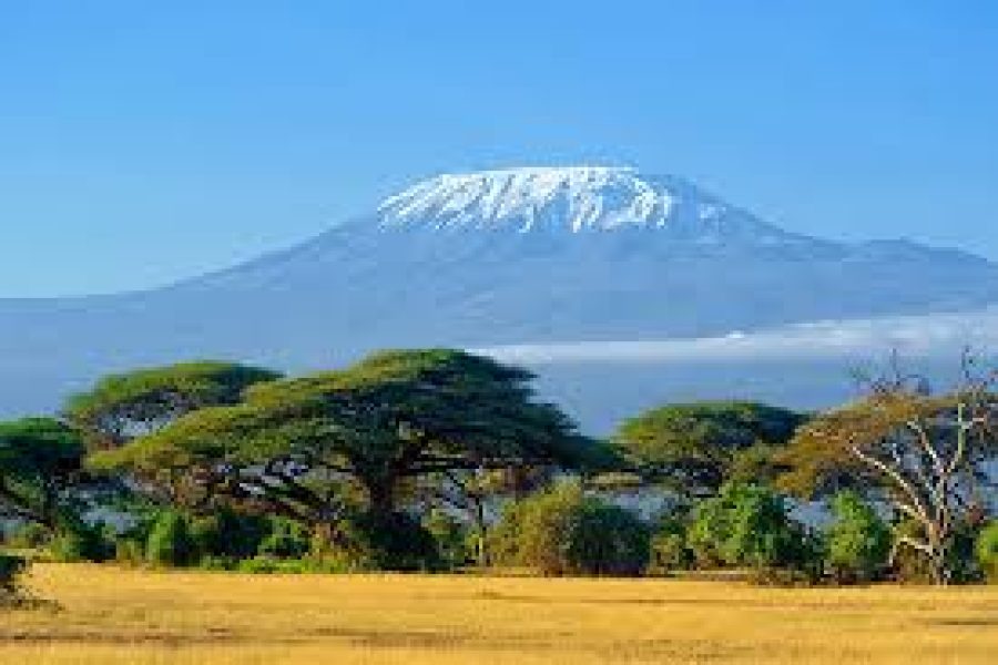Mountain Kilimanjaro