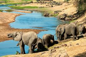 Egreat Safari