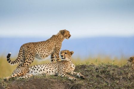 Serengeti National Park