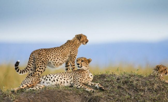 Serengeti National Park